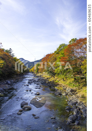 Autumnal scenery from Katsukibashi in Akigawa Valley in Tokyo (Akiruno City, November, autumn leaves 60469635
