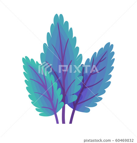 Abstract Colorful Plant Isolated on White Background Abstract Colorful Plant Isolated on White Background 60469832