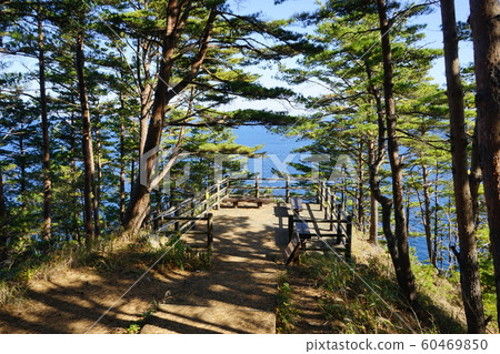 北山崎的秋天 北山崎的秋天 60469850