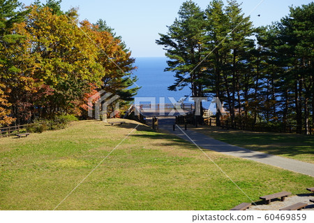 北山崎的秋天 北山崎的秋天 60469859