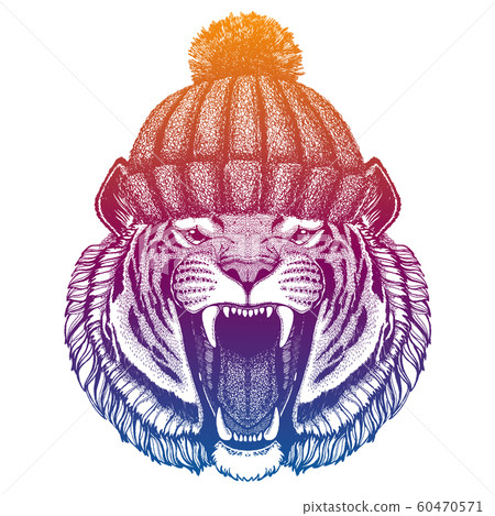 Wild tiger. Ski, skier animal wearing woolen knitted hat. Christmas time. Cartoon character for little children. Kids print for shirts, tee. Nursery decor. 60470571