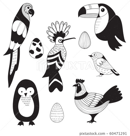 Vector Set with Birds and eggs 60471291