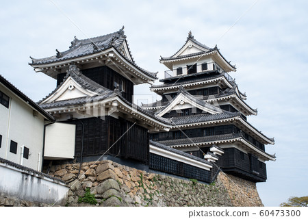 Nakatsu Castle Nakatsu Castle 60473300