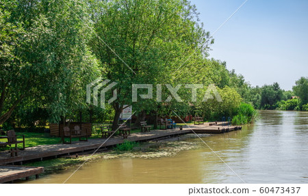 Danube River near the village of Vilkovo, Ukraine 60473437