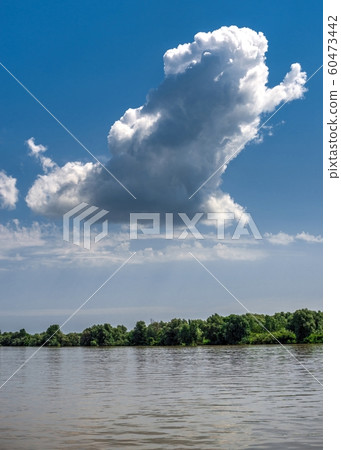 Danube River near the village of Vilkovo, Ukraine Danube River near the village of Vilkovo, Ukraine 60473442