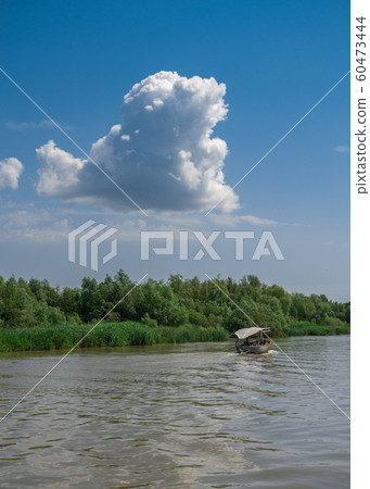 Danube River near the village of Vilkovo, Ukraine 60473444