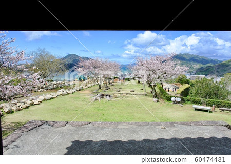 [Ehime] Spring Uwajima Castle (Sakura in full bloom) 60474481