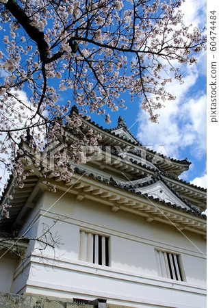 [Ehime] Spring Uwajima Castle (main tower and cherry blossoms) 60474484