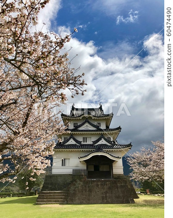 [Ehime] Spring Uwajima Castle (main tower and cherry blossoms) 60474490