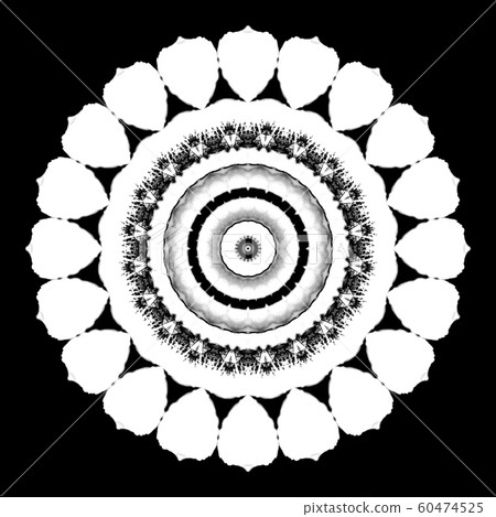 Floral kaleidoscopic pattern. Monochrome geometric ornament . Mandala . Abstract black and white background Floral kaleidoscopic pattern. Monochrome geometric ornament . Mandala . Abstract black and white background 60474525