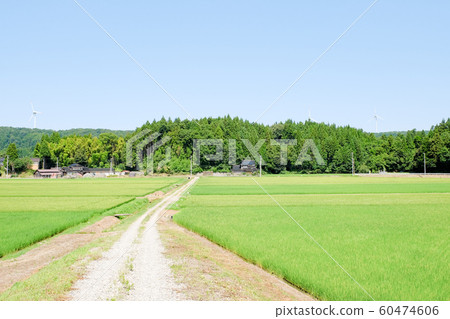 Rural landscape in summer Rural landscape in summer 60474606