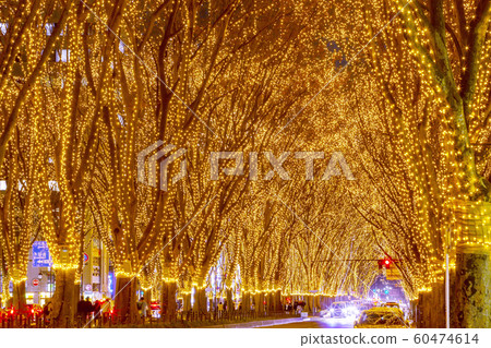 Sendai Hikari no Pageant Sendai 60474614