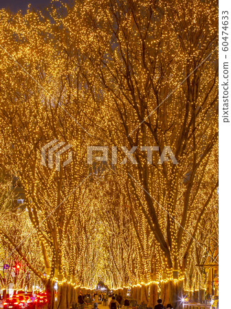 Sendai Hikari no Pageant Sendai Sendai Hikari no Pageant Sendai 60474633