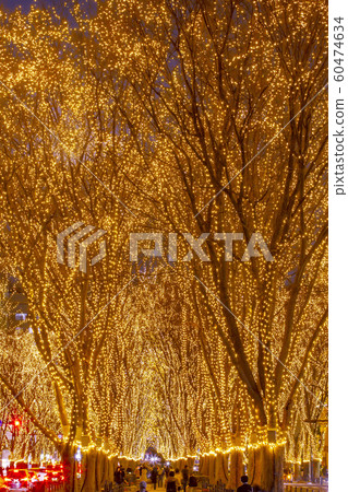 仙台光之選美仙台 仙台光之選美仙台 60474634