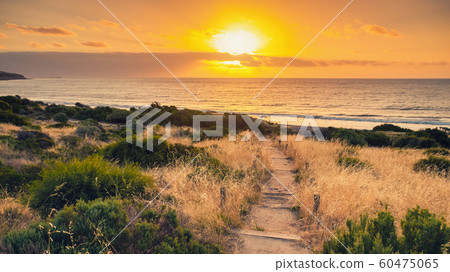 Pathway to Hallett Cove Beach Pathway to Hallett Cove Beach 60475065
