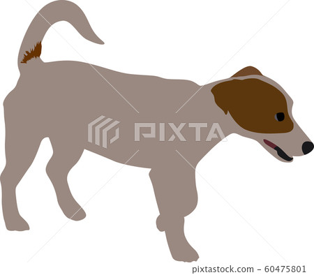 small dog color vector small dog color vector 60475801