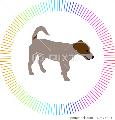 small dog color vector small dog color vector 60475803