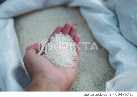 Many kinds of rice seeds in the bag at the market 60476753