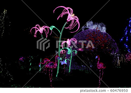 Light festival Light festival 60476950