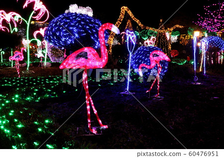 Light festival Light festival 60476951