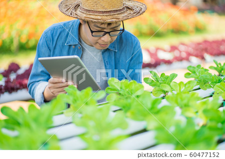 Portrait of young smart farmer using digital Portrait of young smart farmer using digital 60477152