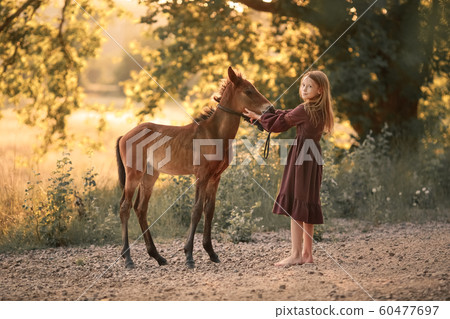 A farmer girl walks a horse in a yellow meadow A farmer girl walks a horse in a yellow meadow 60477697