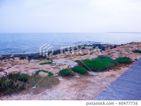 Plank footpath extending over calm water Plank footpath extending over calm water 60477738