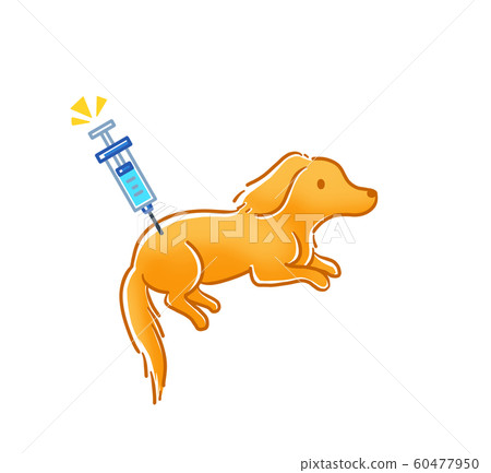 Dog injection Dog injection 60477950