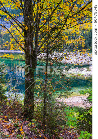 Peaceful autumn Alps mountain lake with clear Peaceful autumn Alps mountain lake with clear 60479048