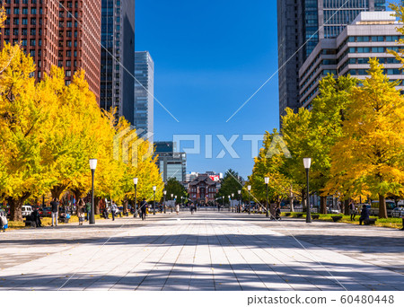 <東京>秋天的東京站 <東京>秋天的東京站 60480448