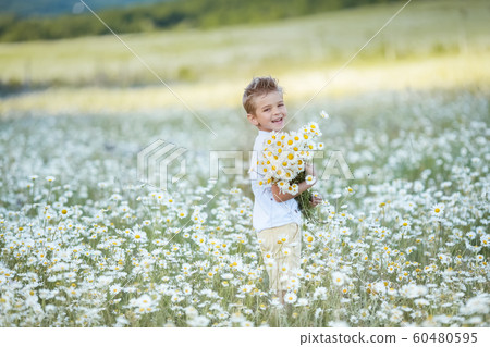 Happy cheerful boy collects a bouquet of flowers daisies in a white field 60480595