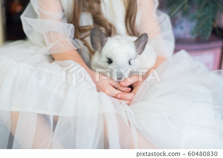 Happy Chinese New Year 2020 year of rat. Portrait 60480830