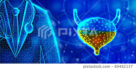 Human Bladder Doctor Specialist .Human Anatomy 60482137