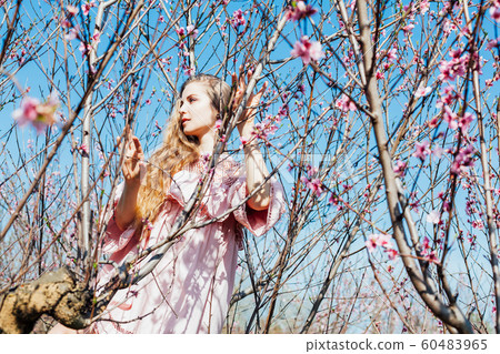 blonde in pink dress walks in the garden with flowering trees blonde in pink dress walks in the garden with flowering trees 60483965
