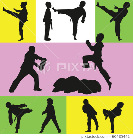 taekwondo 60485441