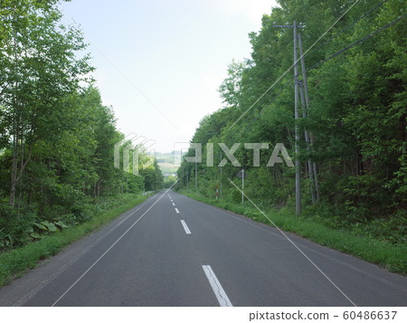 鄉間小路_富良野 鄉間小路_富良野 60486637
