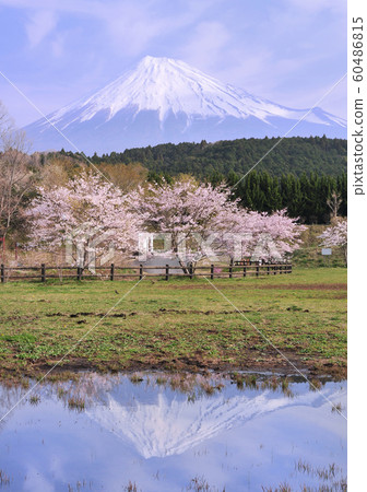 大oh公園的風景223060 60486815