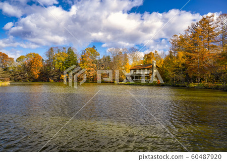 Lake Shiozawa in the autumn leaves 60487920
