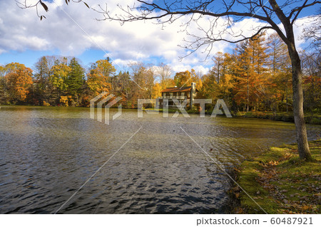 Lake Shiozawa in the autumn leaves 60487921