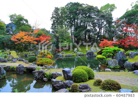 Daigoji Sanhoin Autumn leaves Daigoji Sanhoin Autumn leaves 60487983