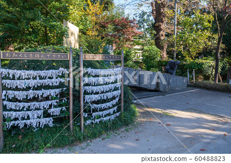 Naganomiya Hikawa Shrine (Fujimino City, Saitama Prefecture) 60488823