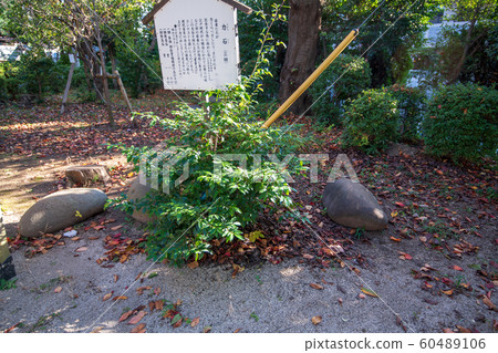 Naganomiya Hikawa Shrine, Rikiishi, Fujimino, Saitama Prefecture 60489106