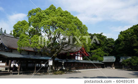Japan travel Japan travel 60489195