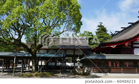 Japan travel Japan travel 60489213