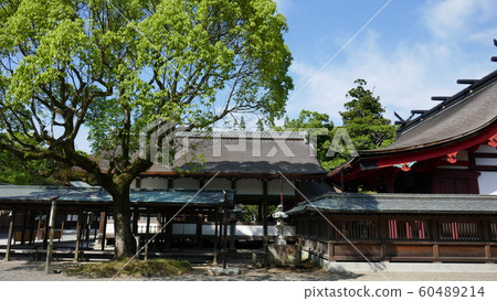 Japan travel 60489214