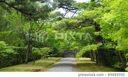 Early summer 60489392