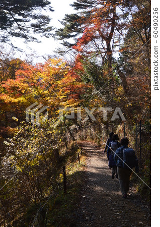 The autumn of Tokyo Ome Mitakeyama is like this 60490256