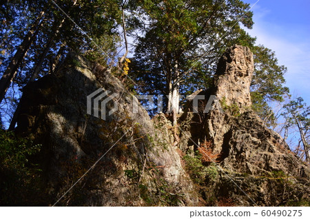 東京青梅山山的秋天是這樣的 60490275