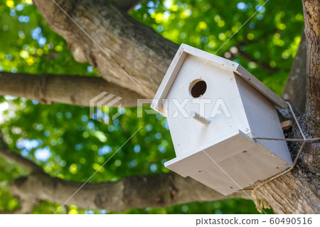 燕窩盒自然形象 60490516