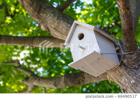 燕窩盒自然形象 60490517